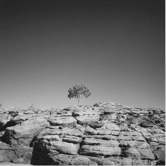 IGREBOW 写真の正方形トリミング（作品全体・額装は後続画像）