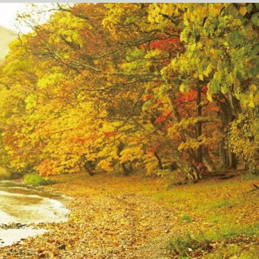 IGREBOW 写真の正方形トリミング（作品全体・額装は後続画像）