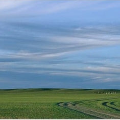IGREBOW 写真の正方形トリミング（作品全体・額装は後続画像）
