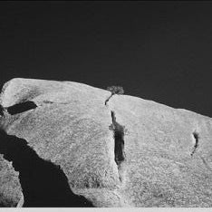 IGREBOW 写真の正方形トリミング（作品全体・額装は後続画像）