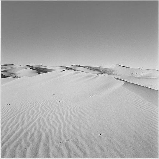 IGREBOW 写真の正方形トリミング（作品全体・額装は後続画像）