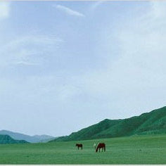 IGREBOW 写真の正方形トリミング（作品全体・額装は後続画像）