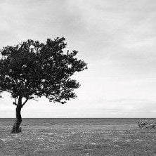 IGREBOW 写真の正方形トリミング（作品全体・額装は後続画像）