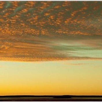 IGREBOW 写真の正方形トリミング（作品全体・額装は後続画像）