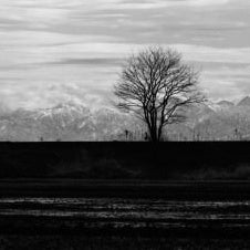 IGREBOW 写真の正方形トリミング（作品全体・額装は後続画像）