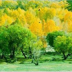 IGREBOW 写真の正方形トリミング（作品全体・額装は後続画像）